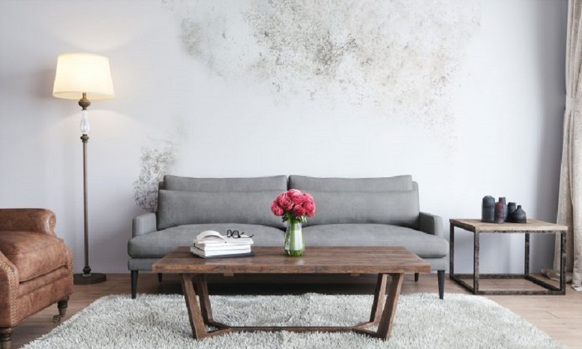 tips mengurangi kelembapan-RealEstat.id-inspirasipagi dinding rumah lembap, tips mengatasi dinding lembap