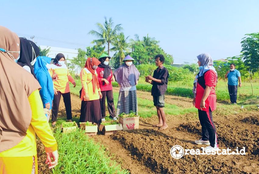 KIIC pelatihan pertanian kota Sinar Mas Land CSR realestat.id dok KIIC pelatihan pertanian kota Sinar Mas Land CSR realestat.id dok