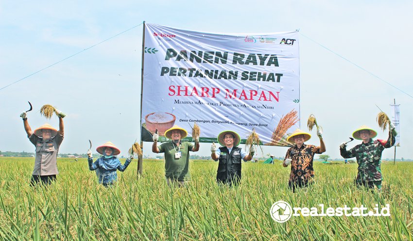 Panen Raya Pertanian Sehat Sharp Mapan realestat.id dok Panen Raya Pertanian Sehat Sharp Mapan realestat.id dok