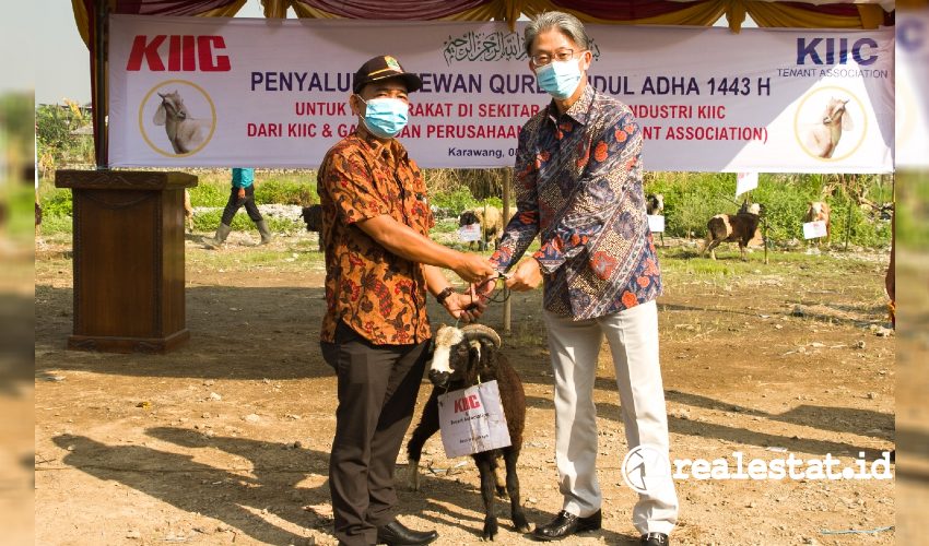 Meriahkan Iduladha KIIC dan Tenant Association Salurkan 94 Hewan Kurban sinar mas land realestat.id dok Meriahkan Iduladha KIIC dan Tenant Association Salurkan 94 Hewan Kurban sinar mas land realestat.id dok