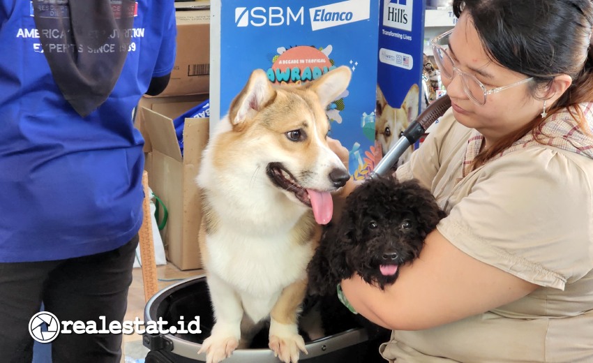 Dog Friendly Apartment Jakarta Barat Aerium Residence Hewania Vet Clinic realestat.id dok Dog Friendly Apartment Jakarta Barat Aerium Residence Hewania Vet Clinic realestat.id dok