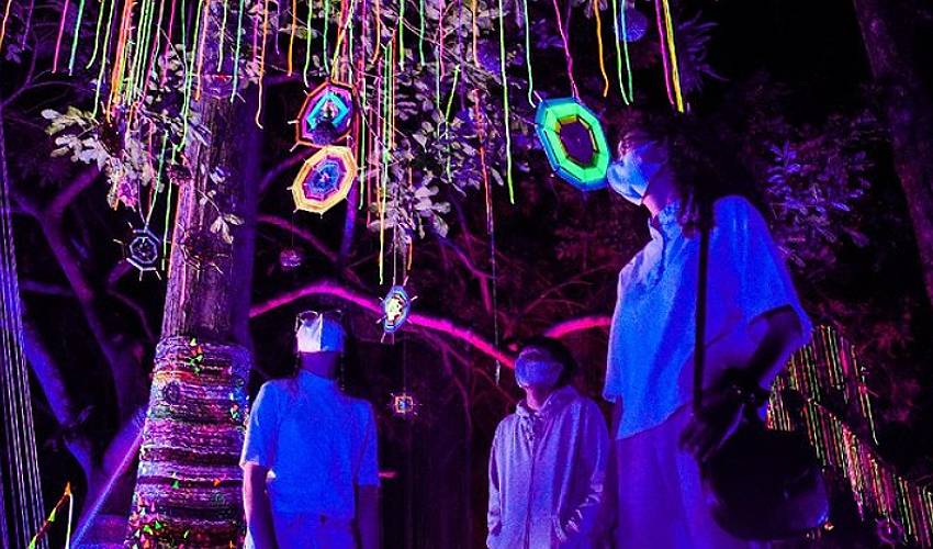 Tempat Wisata di Bandung yang Lagi Hits 2025 salah satunya adalah Hutan Menyala Tahura-RealEstat.id Tempat Wisata di Bandung yang Lagi Hits 2025 salah satunya adalah Hutan Menyala Tahura-RealEstat.id