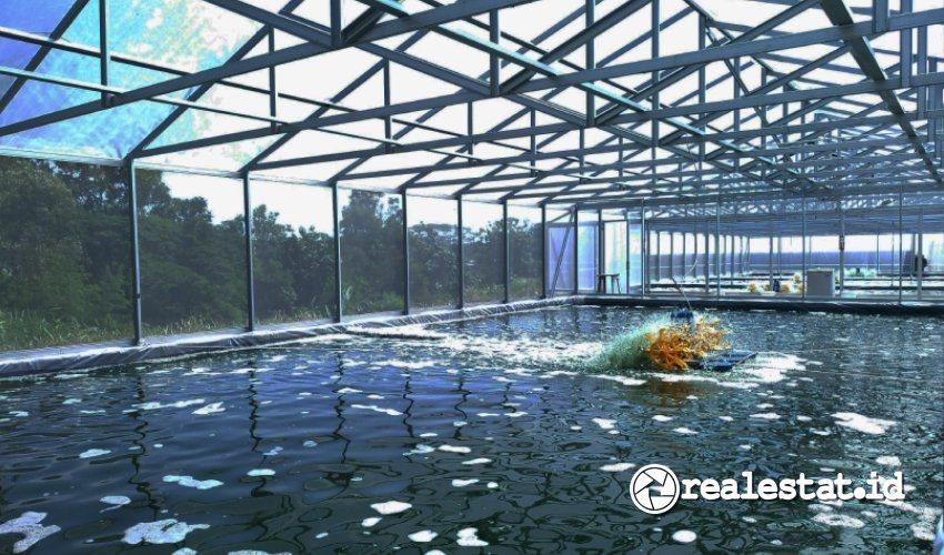 Kolam Budidaya Mikroalga milik PT Algaepark Indonesia Mandiri-RealEstat.id(1)