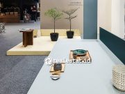 Jotun Global Colour Collection 2026 Hadirkan Tren Palet Warna Tenang dan Penuh Optimisme Palet warna Jotun terbaru Global Colour Collection 2026-RealEstat.id-Adhitya Putra