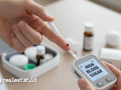 Dijuluki ‘Mother of Diseases’, Ini Gejala dan Cara Penanganan Diabetes tes darah diabetes realestat.id dok