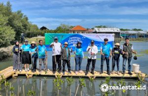 Konservasi Pesisir Tangerang, Sinar Mas Land Tanam 5.500 Mangrove dan Lepas 100 Ekor Mimi Sinar Mas Land Aksi Menanam Pohon Konservasi Mangrove 2025 Semangat Melestarikan Lingkungan realestat.id dok
