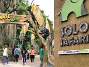 10 Tempat Wisata di Solo yang Wajib Dikunjungi untuk Liburan Berkesan Solo Safari menjadi Tempat Wisata di Solo Terbaru-RealEstat.id