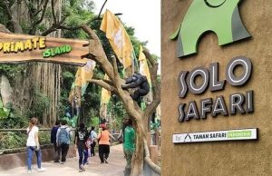 10 Tempat Wisata di Solo yang Wajib Dikunjungi untuk Liburan Berkesan Solo Safari menjadi Tempat Wisata di Solo Terbaru-RealEstat.id
